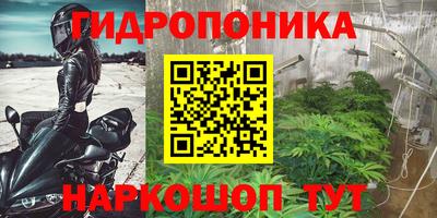 PSILOCYBIN Кунгур