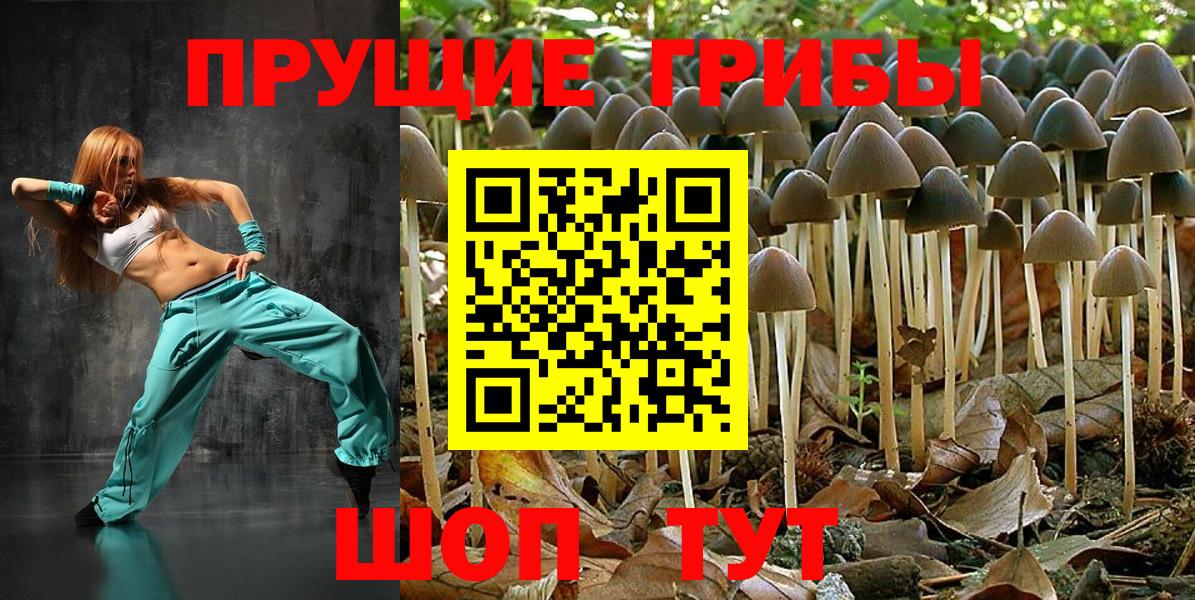 Псилоцибиновые грибы мухоморы Гагарин