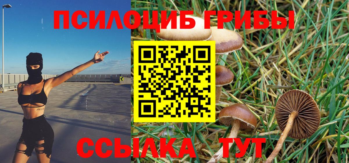 Галлюциногенные грибы Magic Shrooms  Вход с VPN  Гагарин 